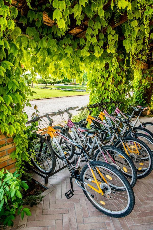 Agriturismo Tenuta Regina - Glamping Luxury Lodges And Apartments Palazzolo dello Stella Exterior photo